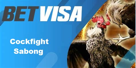 betvisa ph|About Betvisa Philippines – The legend of great fortune.